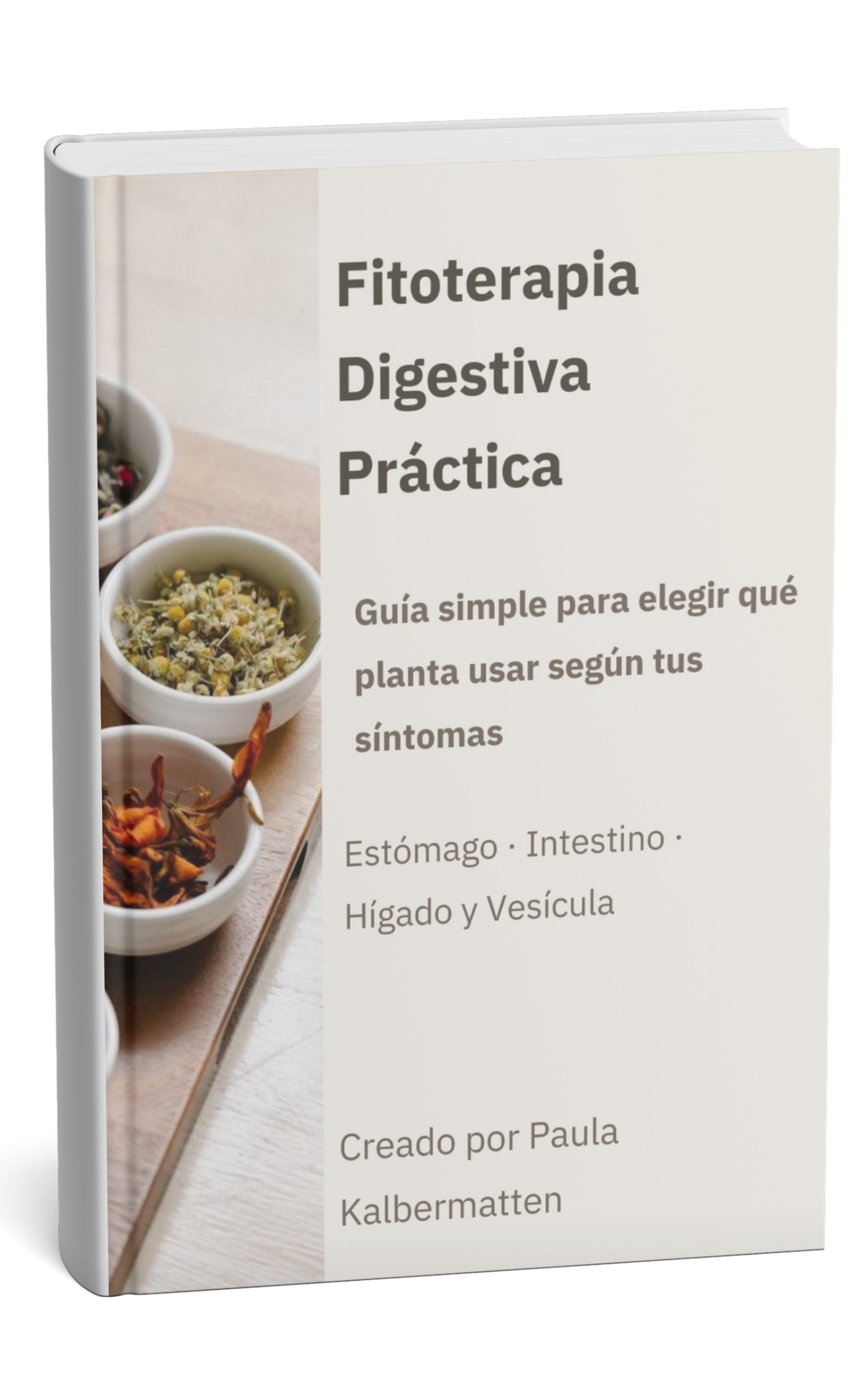 Guía práctica de fitoterapia para Síntomas Digestivos